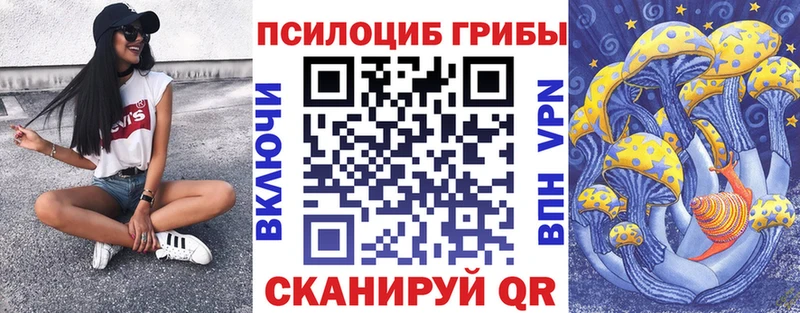 Псилоцибиновые грибы Magic Shrooms Новосокольники