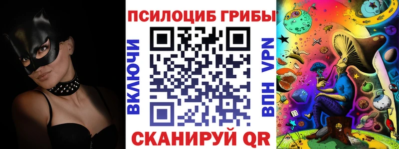 Псилоцибиновые грибы Psilocybe Купить закладки Новосокольники